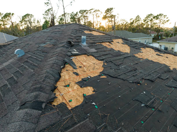 Best Metal Roofing Installation  in Pine Hill, NJ