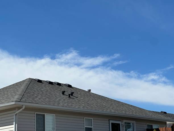 Fast & Reliable Emergency Roof Repairs in Pine Hill, NJ